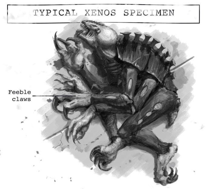 xenos-specimen